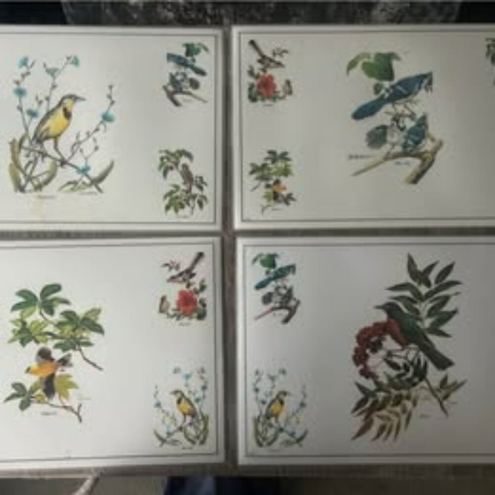 Perfect condition vintage Audubon prints/matts